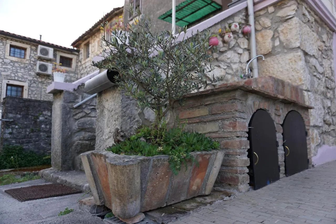 House Leon Villa Brtonigla Holiday home