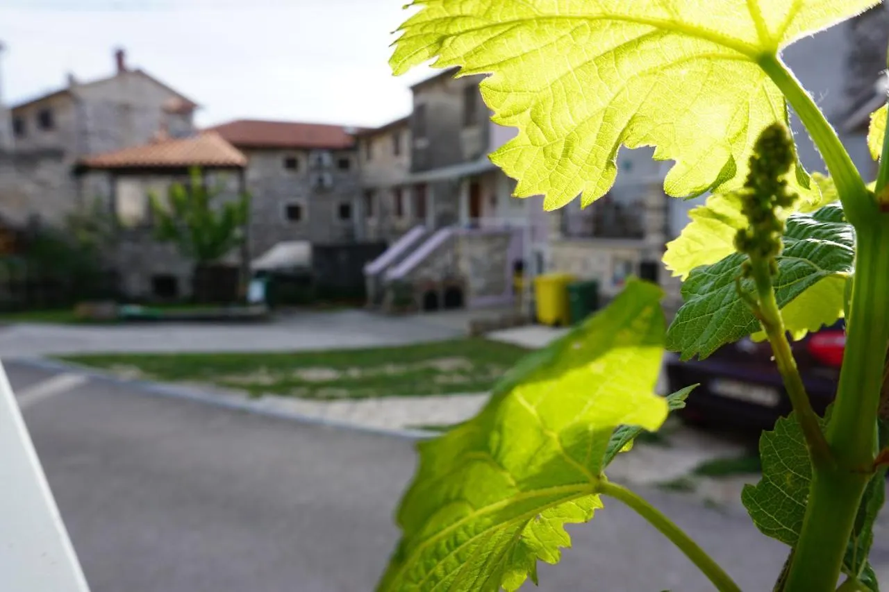Holiday home House Leon Villa Brtonigla Croatia
