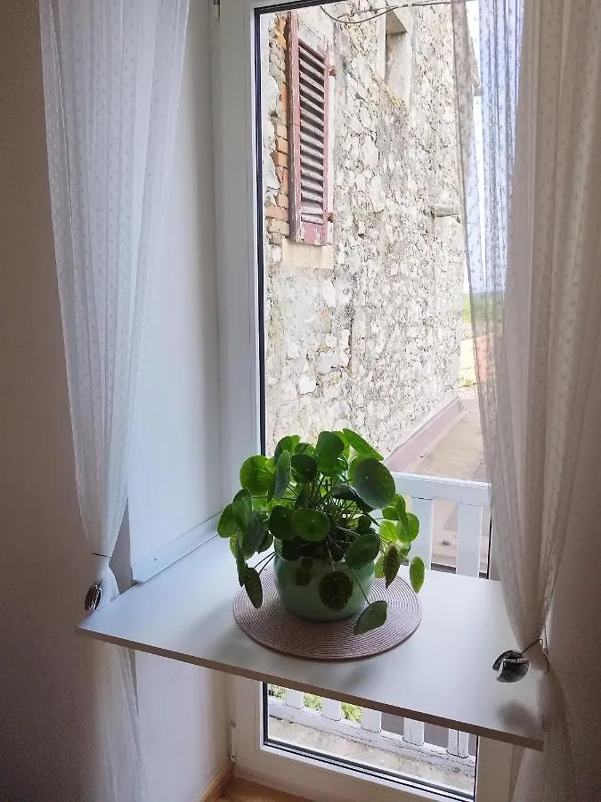House Leon Villa Brtonigla Holiday home